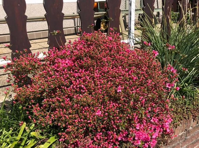 Holiday home Appt. Aeischer *